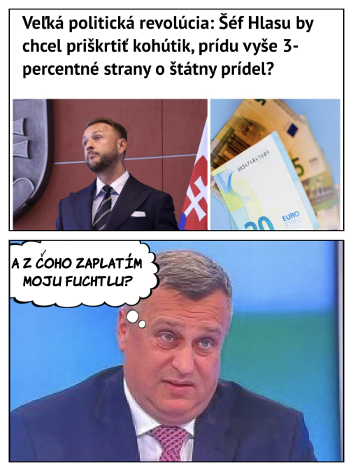 Po najbližších voľbách